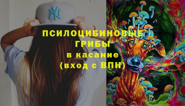 крисы Армянск