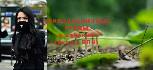 крисы Армянск